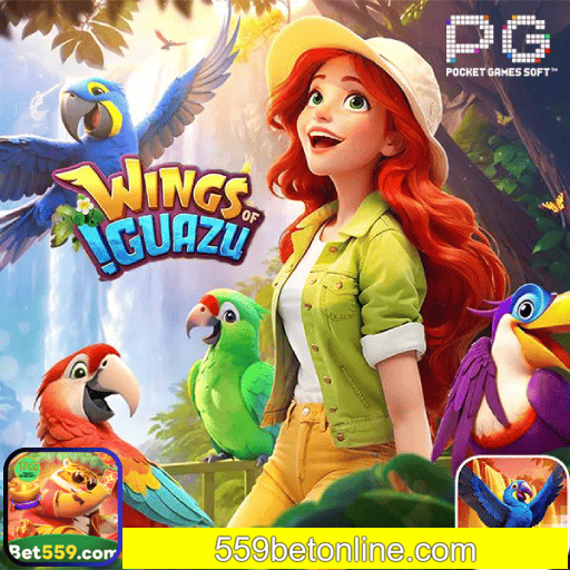 Imagem promocional do cadastro da 559BET